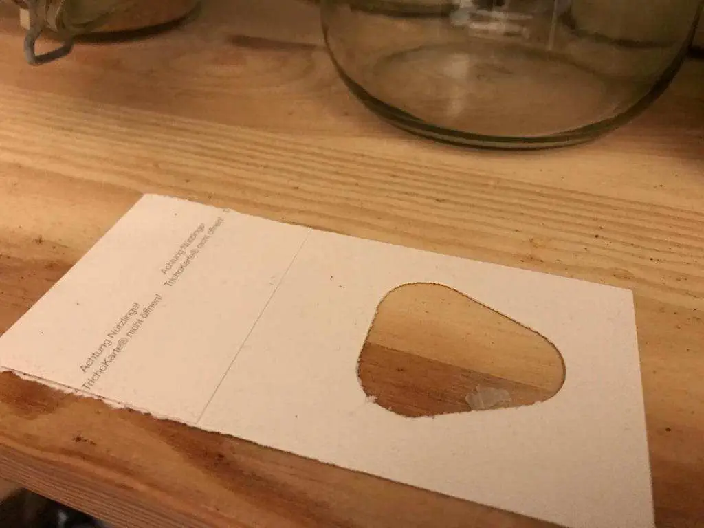 Schlupfwespen Karte