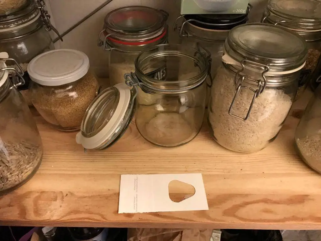 Lebensmittelmotten bekämpfen mit Schlupfwespen / Trichokarte